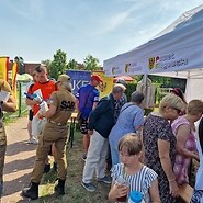 “In the Shadow of the Collegiate Church&quot; in Głogów