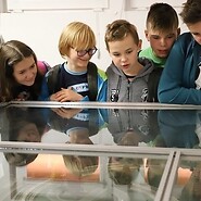 Dzieci oglądają eksponaty w gablocie