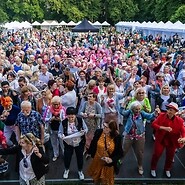 tłum ludzi na pikniku