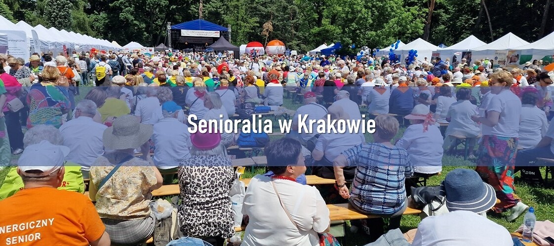 tłum ludzi na pikniku