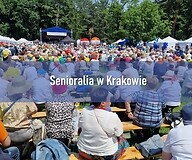 tłum ludzi na pikniku