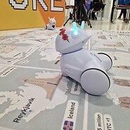 Dzień Cyfrowych Możliwości w Łodzi – programowanie językiem przyszłości