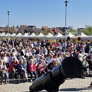 Senioralia_Chęciny